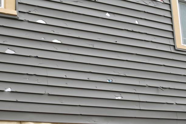 Best Storm Damage Siding Repair  in Oskaloosa, IA